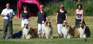 COLLIE - SM 2015 i Piteå 31 juli - 2 augusti PROGRAM Fredag 31 juli Förmiddag: Huvudutställning för kort- och långhårig collie Domare: Mr Brian Hawkins, Storbritannien Eftermiddag/kväll: