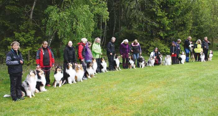 Collie-SM Rallylydnad & Agility Osby 30 31 maj INVIGNING AV COLLIE-SM Lördag kl.
