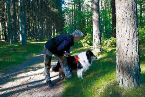 Nordic style - tvådagars i Roslagen 2015 är året då Nordic Style blev verklighet. Visst, Sölvesborgs bk tjuvstartade förra året men de hade ingen spårtävling.