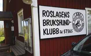 tiden och Signe är numera 8 år och inte i allra bästa tävlingsform då det är hennes dotter som jag numera tävlar och tränar mest.
