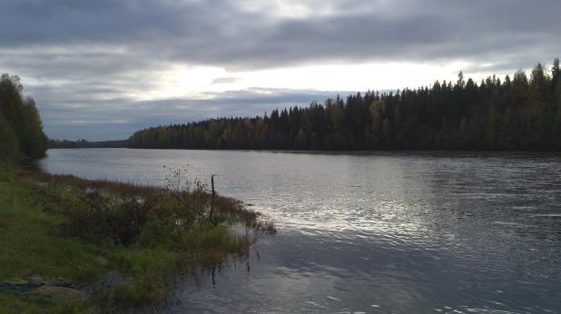 figur 4. Befintlig bro under väg 97 vid Sävaståns utlopp mot Bodån, inloppssida. Rostangrepp utgör en risk för brons funktion. Figur 5. Bodån vid Sävaståns utlopp.