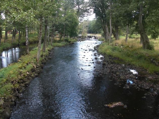 Sträckan är mestadels svagt strömmande strömmande. Bottensubstratet utgörs av hårdbotten, främst mindre block med inslag av sten och grus. Vattenvegetationen utgörs av måttliga mängder Fontinalis.