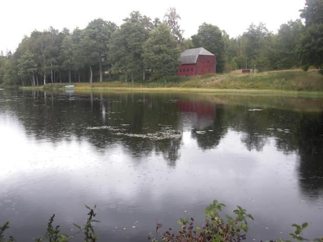 Delsträcka 13 Biotopbeskrivning Dammen uppströms Ryfors Gård är enligt uppgift från markägare till stor del igensedimenterad.