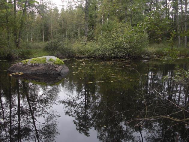 Sträckan karaktäriseras av lugnflytande vatten, med små inslag av svagt strömmande partier. Bottensubstratet varierar sannolikt inom sträckan beroende på strömhastighet och djup.