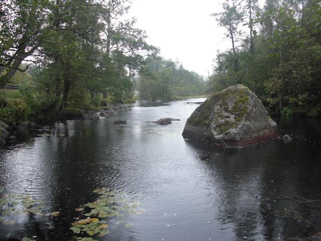 Delsträcka 3 Biotopbeskrivning Sträckan startar uppströms dammen i Delary, och även uppströms den vid karteringstillfället indämda delen av vattendraget.