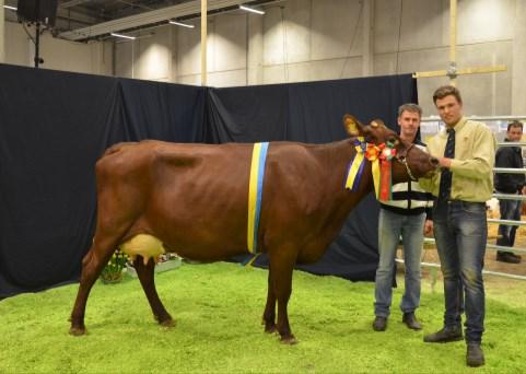 Avel Mest använda tjurar i Skåne 2014-15 WWS Far MF Doser BLIND SIDE Lithium Man O Man 1428 OVERBAY Tape Man O Man 1257 COBRA Russel O Man 1045 REFLECTOR Mogul Super 1037 RODGERS Lithium Russel 929