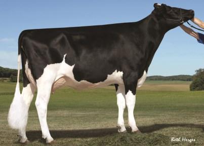 Man O Man VH Reynold Viking Holstein Far MF Doser VH REYNOLD LC Ram/Ramos Man O Man 2118 VH SPRITE Sterngold Rakuuna 1834 VH CUPID Cobra D Cole 1640 VH GIZMO G Force D Outside 1488 VH BLOGG VH