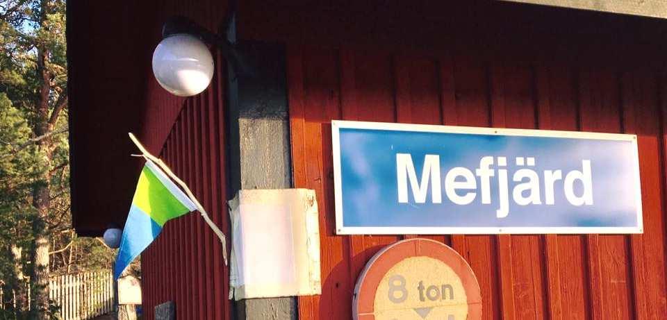 Mefjärd älskar Östersjön Text och bild: Doris Beling Den lilla vimpeln på väntkurens gavel är WWFs Östersjövimpel, en påminnelse om insamlingen Det har gått 7 månader sedan vi startade vår alldeles