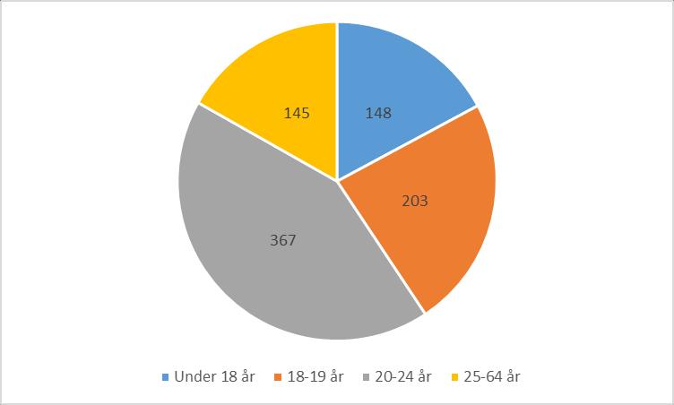 på nyanlända som en särskild målgrupp (en av tre) eftersom man ser att nyanlända utgör en riskgrupp, men av andra orsaker än vad skolavhopp i mera generella termer beror på.