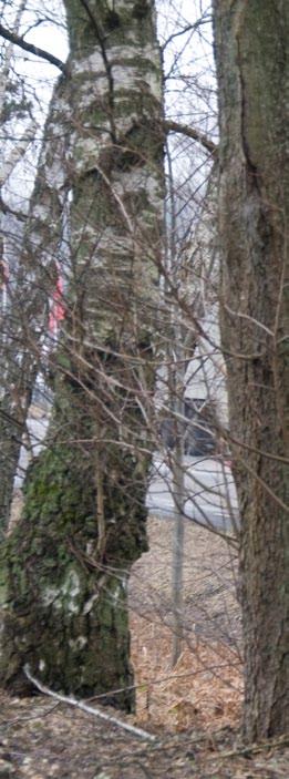 Har du frågor? Kontakta någon av oss: Bo Lenberg, projektledare bo.lenberg@trafikverket.se, 0455-36 65 14 Johan Wolgast, biträdande projektledare johan.wolgast@trafikverket.