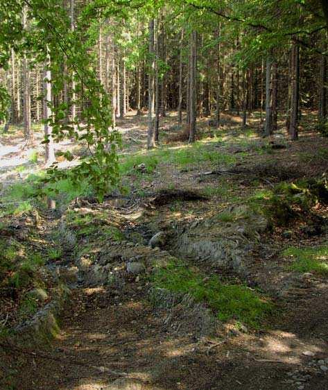 (7.5.6) 7 Margretetorp (3) Area: 53,4 ha Naturtyp: Bokskog och betesmark Motiv: N, K (7.5.6) 8 Hästskobäck (3) Area: 19,4 ha Naturtyp: Lövskog och betesmark Motiv: N, K Området utgörs dels av ett