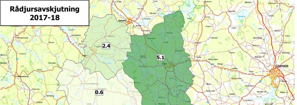 Avskjutning rådjur Västmanlands län 2017/ 2018 Rådjursavskjutningen i länet har de senaste åren legat på en stabil låg nivå, senaste jaktåret sköts det i snitt 4,3 rådjur per 1000 hektar.