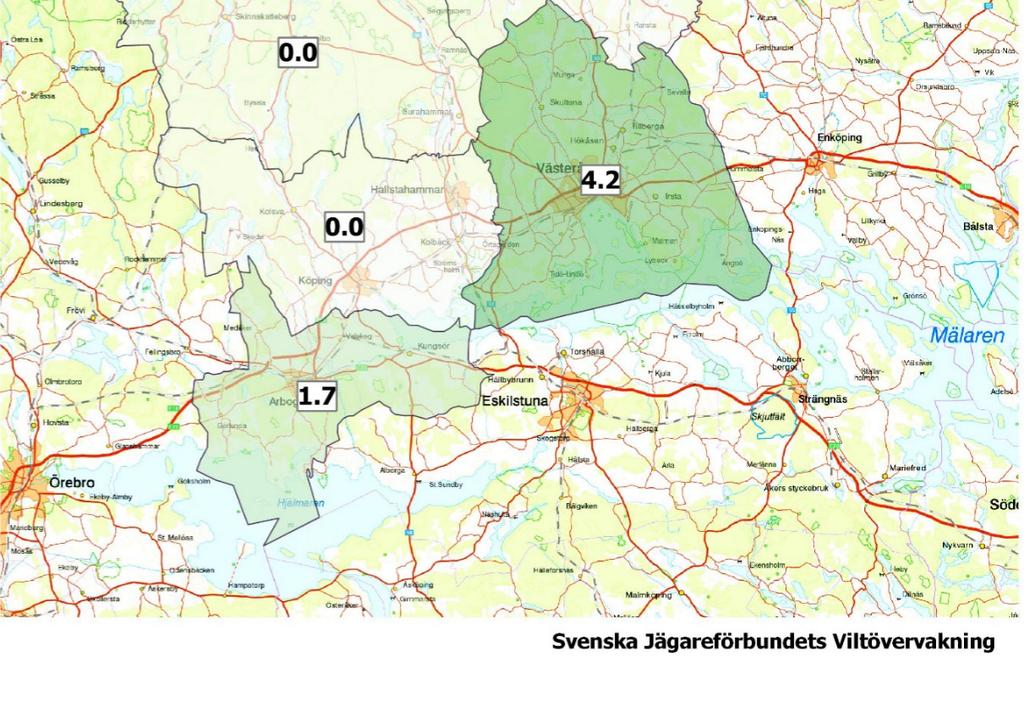 För kronhjort är motsvarande siffror 3,8 och 1,7 för dessa kretsar som fällde flest.