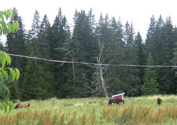 Övriga byggnader växthus på