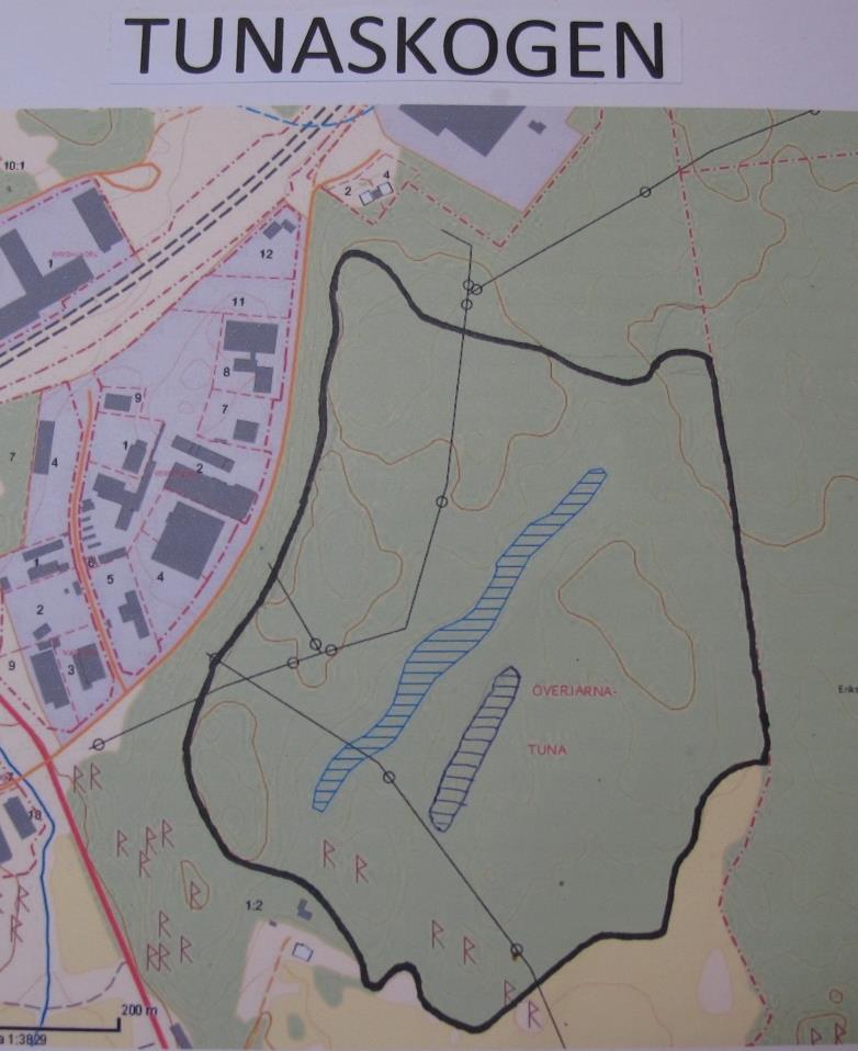 Sammanfattning Tunaskogen ligger i nära anslutning till bebyggelsen i de östra delarna av Järna tätort. Området består till största delen av barrskog, fläckvis med stort inslag av gamla aspar.