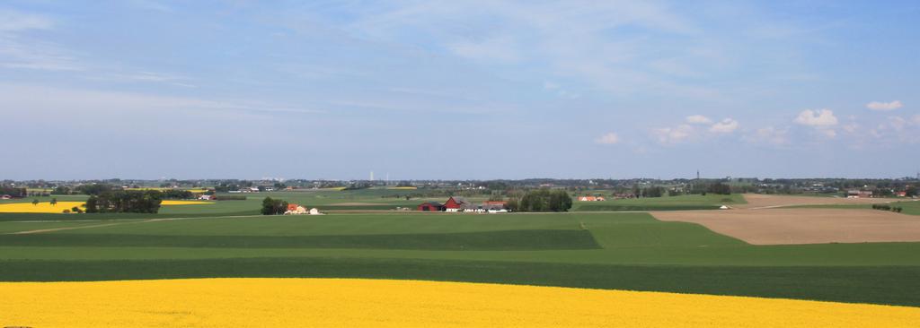2.6 Etableringscoach Etableringscoachens uppdrag är att utifrån bedömd insats från vuxenenheten arbeta med beställd insats för att utveckla de nyanländas personliga resurser och främja deras