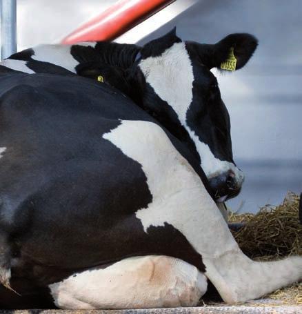 DeLaval komadrass M40R DeLaval Sales AB Box 21, 147 21 Tumba Tel 08-550 294 00, Fax 08-550 339 15 e-post sverige.info@delaval.