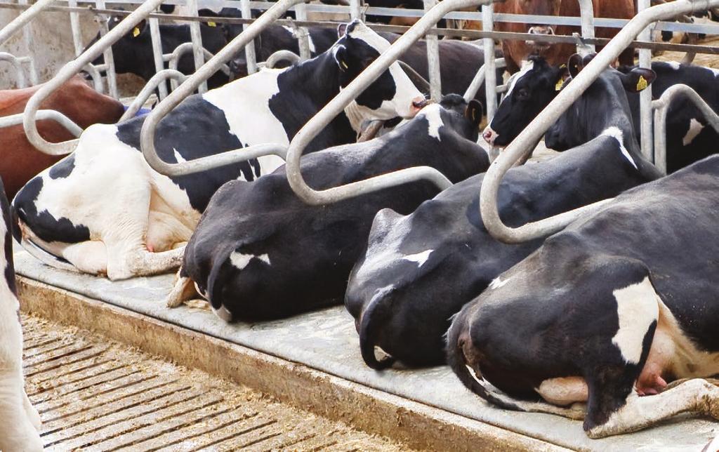 DeLaval madrass M45S 9:60 Art nr 92606725 Toppduk M45S, bredd 205 cm 86563103 Skummadrass 92606734 Plastfolie 89599901 Standard glasfiberprofil 3 m 89599902 Glasfiberprofil L=300 cm, för BB120/100