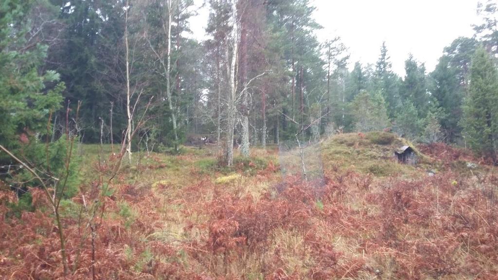 Bild 5: Visar utsikt i riktning mot stranden som är avskild av bergsknalle.