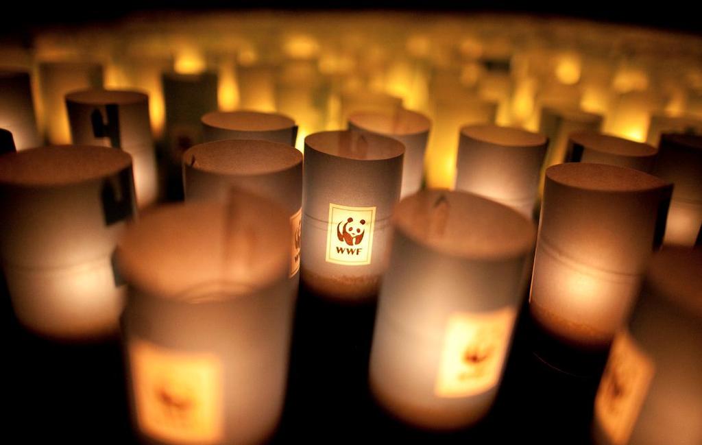 Anmäl ditt företag till Earth Hour Anmäl till WWF att ni tänker genomföra Earth