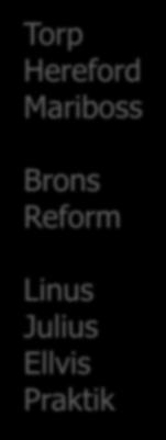Mariboss Brons Reform Linus Julius Ellvis Praktik 8000 120 180
