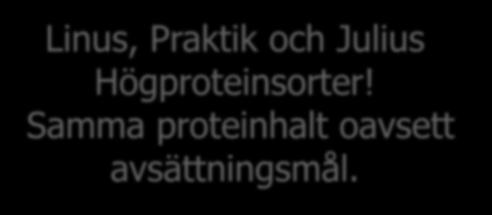 kvävegiva Linus, Praktik och Julius Högproteinsorter!