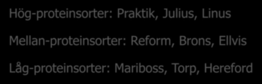 sent kväve Hög-proteinsorter: Praktik, Julius, Linus