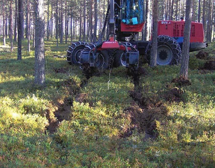 Arbetsrapport Från Skogforsk nr.