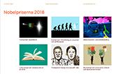 Nobelprisen 2018 Enligt Alfred Nobels testamente ska priset delas ut i fem kategorier: fysik, kemi, fysiologi eller medicin, litteratur och fred.