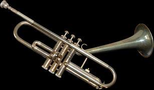 7 Man kan välja följande instrument Träblåsinstrument: klarinett, oboe, saxofon Bleckblåsinstrument: trumpet, basun, valthorn Övriga: cello, piano, gitarr, dragspel, slaginstrument Sång: elever över