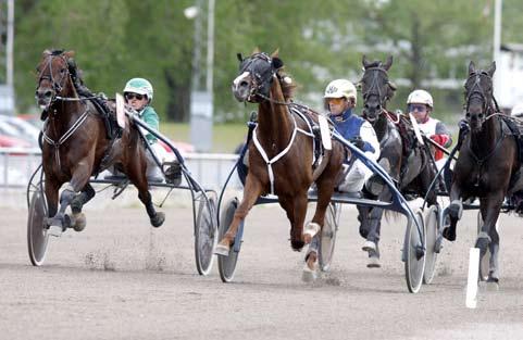 nyhetsbörsen juni 2009 090612 Säkert för Castor Race Vinna eller försvinna. Det stämmer bra in på Leif Witasps Castor Race.