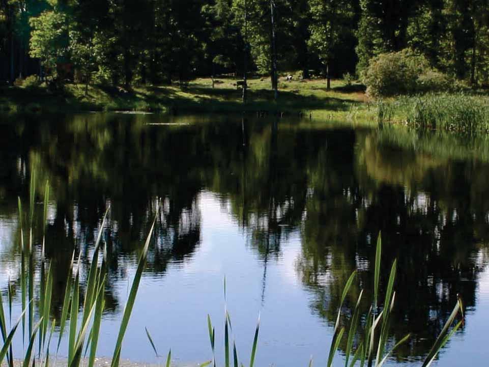 Levande sjöar och vattendrag Strategier för skydd och restaurering, delmål 1 och 2 Arbetsgrupp: Lena Tranvik, NV Henrik Schreiber, NV