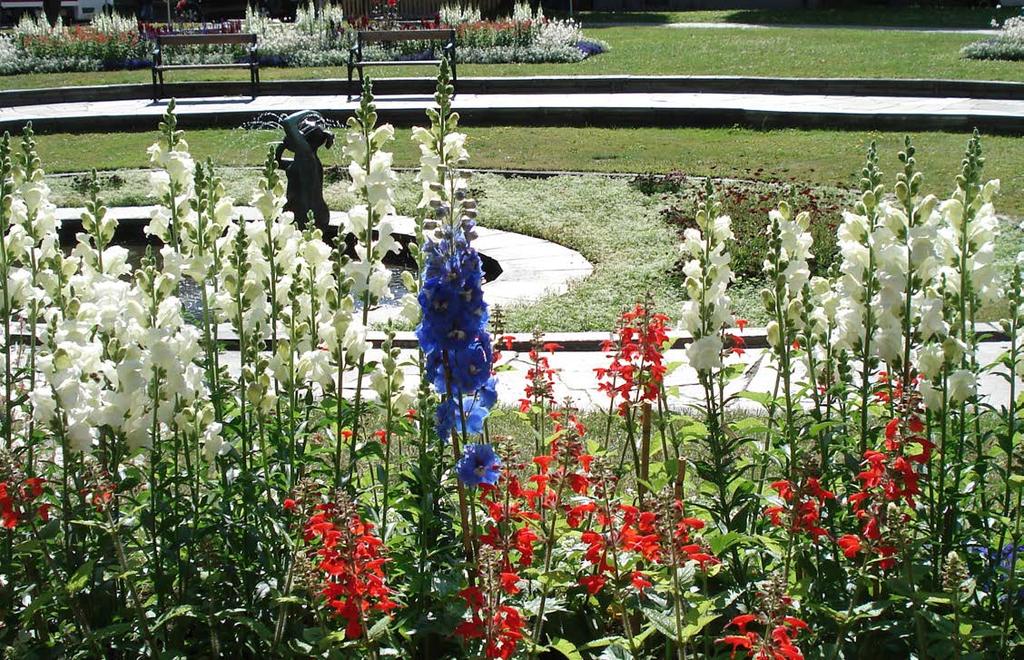 Samhällsbyggnadskontoret Blomsterprogram 0 Koncept
