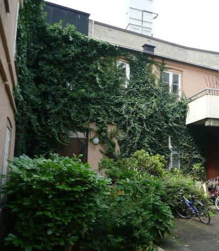 Fastighetens innergård utgörs av en gårdsflygel längs västra tomtgränsen som är täckt med växter samt en gårdsbyggnad som i dagsläget är tomställd.