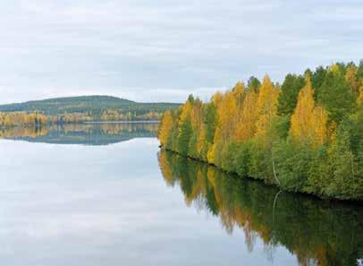 Långsiktigt miljöarbete Miljö Ett arbete sker kontinuerligt för att minska miljöpåverkan och driva miljöfrågan framåt.