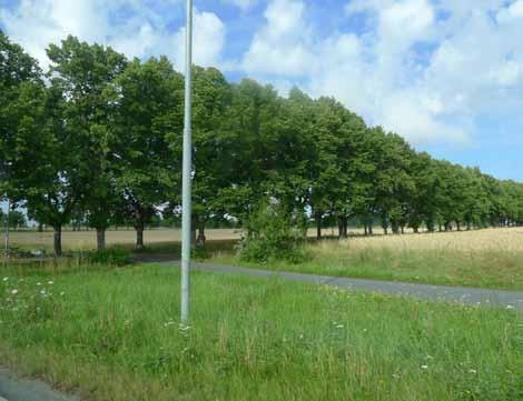 4.4.5 Markhantering Mellan Kanton och Vilan är det viktigt att vägens slänter och diken anpassas till det omgivande jordbrukslandskapet och utblickarna från parken.
