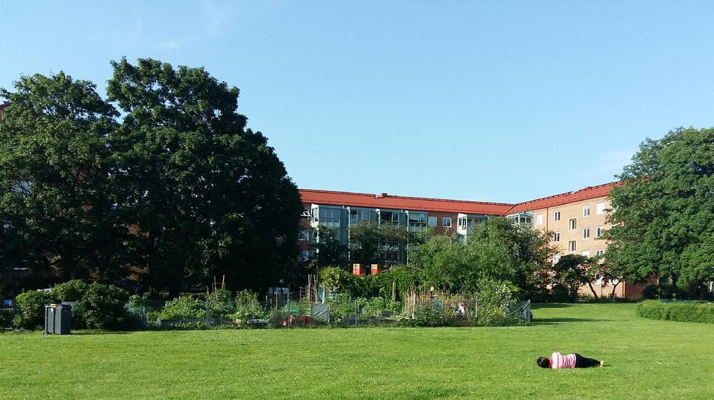 ENSKIFTESHAGEN, ODLINGEN Beskrivning av platsen Som nämndes tidigare så delades Enskiftehagen in i tre olika delar. Denna del består av stadsodlingen, hundrastgården och falafelrestaurangen.