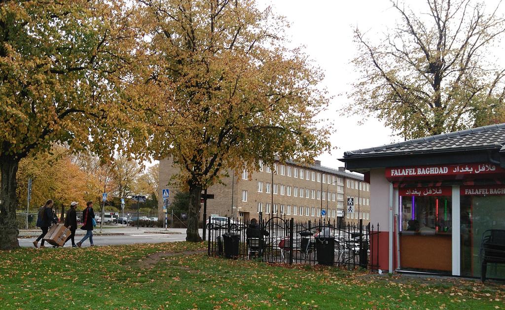 Aktiviteter De tre huvudsakliga aktiviteterna i denna delen av parken består av besök på falafelrestaurangen, rasta hunden (både i hundrastgården men också på gräsmattan) och att besöka eller arbeta