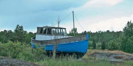 Jordbruk, skogsbruk och fiske Statistisk årsbok 2010 92 Saltsjöfisket Salt water fishing Allt färre saltsjöfiskar fångas i de nordiska vattnen.