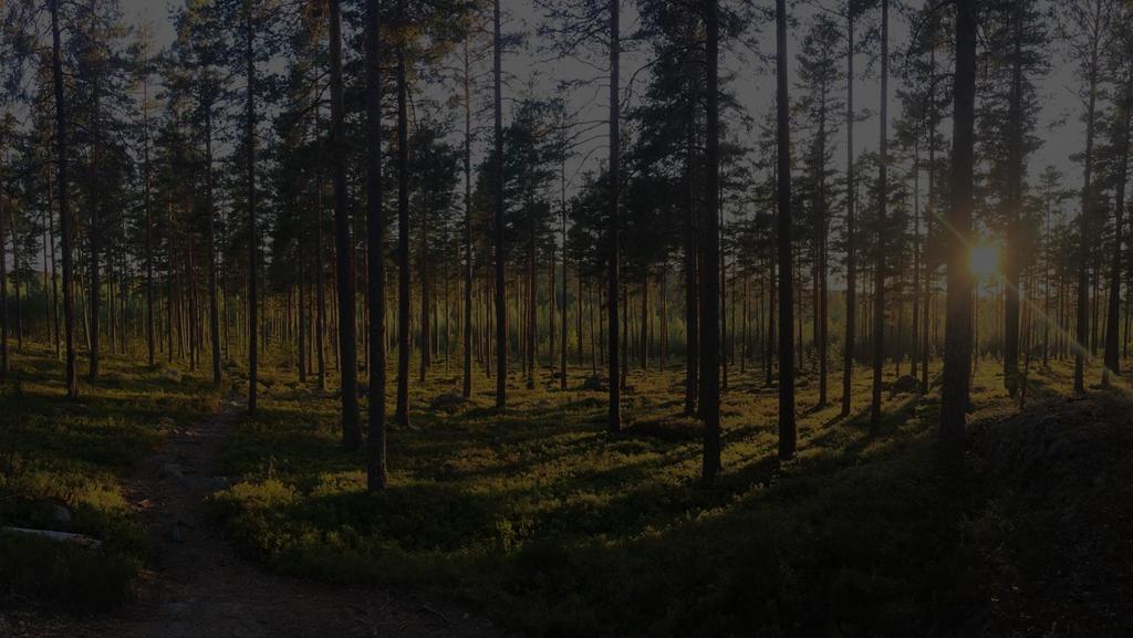 Hur synkar vi oss inom kommunen?