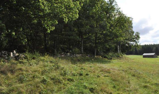 Vägplan samrådshandling val av lokaliseringsalternativ 2017-09-11 övervintringsplatser och jaktmarker för alla kräldjursarter.
