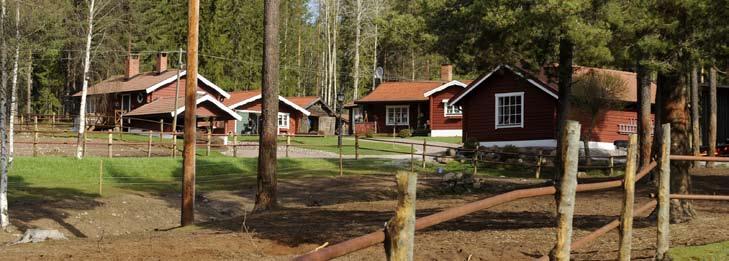 På Gävle under gårdagen vann hon nionde loppet som favorit tillsammans med Jim Frick. Från springspår tog femåringen direkt hand om ledningen och väl i tät fick Frick bestämma som han ville.