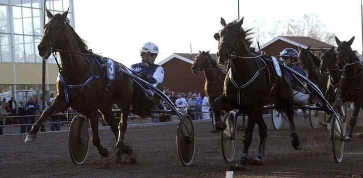 090502 Witasps treåringar tog för sig Enzo Wibb och Leif Witasp kämpade sig förbi stallkamraten B.W.L.Power och Kajsa Frick på upploppet. Leif Witasps treåringar ser riktigt fina ut för dagen.