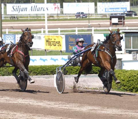 Sedan började det gå lite grus i maskineriet och efter en del justeringar och kastration gjorde Leif Witasps adept comeback i mars.