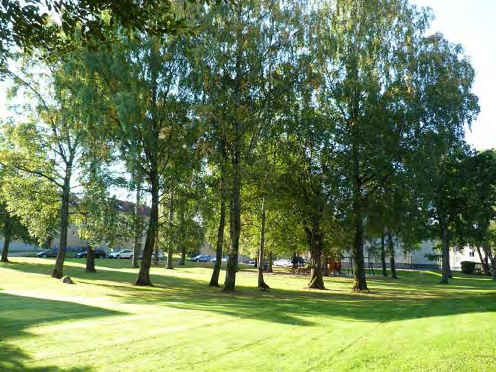 5. RÖNNHAGEN STAVRE MINDRE PARK OCH LEKOMRÅDE Målkaraktär: Lekpark Storlek: Ca 0,2 ha S:VI/1955 Park eller plantering 122 Rönnhagen är viktig som en av få lite större lekplatser med tillhörande gröna