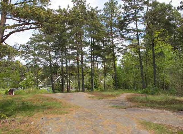 1. STAMKULLEN SANDHEM NÄRPARK Målkaraktär: Storlek: Naturkvarter Ca 2,2 ha S:V/1973 Park eller plantering S:VI/1976 Park eller plantering 1:15 000 126 Stamkullen består av öppen tallskog med