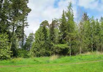 3. OFFERHÄLLSPARKEN SANDHEM MINDRE PARK- OCH LEKOMRÅDE Målkaraktär: Storlek: Minipark Ca 1,3 ha S:II/1946 Allmän plats, S:VII/1953 Park eller plantering, S:XIII/1963 Park eller plantering 128