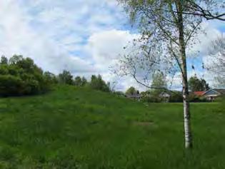 I söder består naturmarken av välutvecklad flerskiktad lövskog och i norr finns flera stora ekar med ett fältskikt med potential.