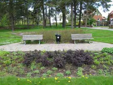 Det finns även en perennplantering i parken. Stigarna behöver breddas och göras med framkomliga.