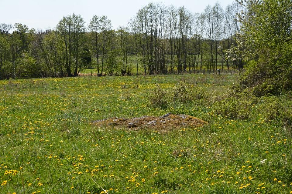 Mönsterås Fälle 6:3 och Habbestorp 1:19 Om fastigheten Typ: Skogsfastighet Bud: 2016-06-20